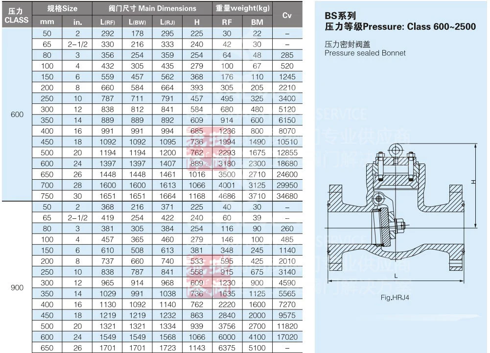 C3 Special Alloy Stainless Steel Class600 Flange RF Swing Check Valve