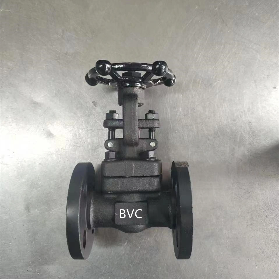 Wholesale High Quality Forged Steel A105 A105n Globe Valve Gate Valve Check Valve