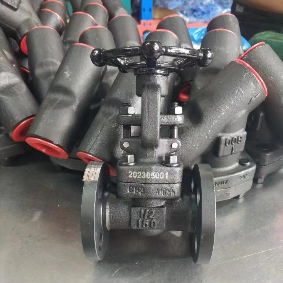 Wholesale High Quality Forged Steel A105 A105n Globe Valve Gate Valve Check Valve