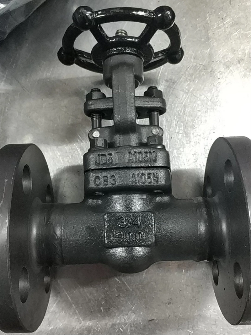 Wholesale High Quality Forged Steel A105 A105n Globe Valve Gate Valve Check Valve