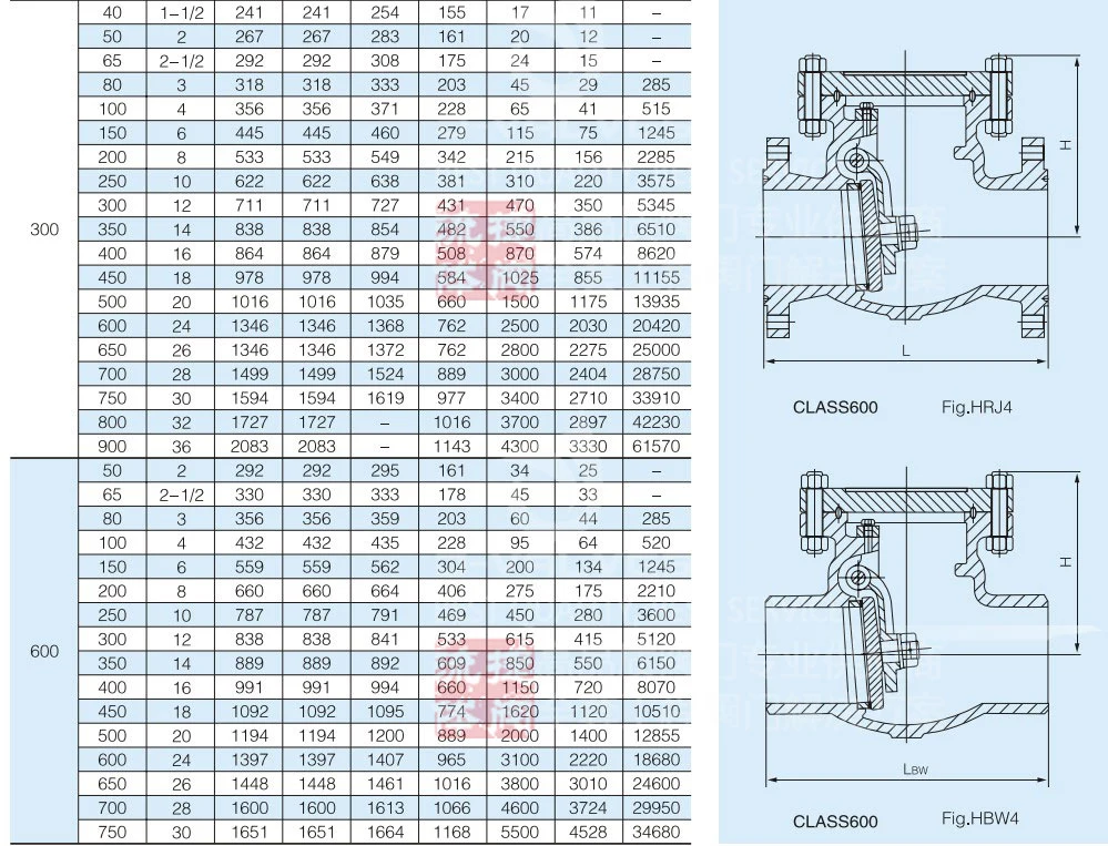 C3 Special Alloy Stainless Steel Class600 Flange RF Swing Check Valve